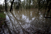 Flooding photos