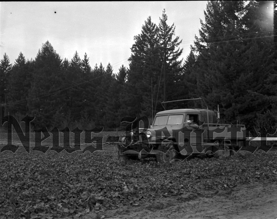 1953-1 Spraying Yamhill Strawberry field.jpeg