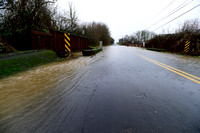 Old Sheridan Road flooding