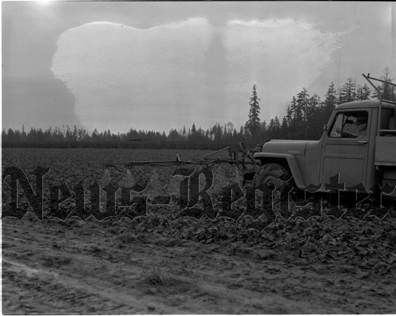 1953-1 Spraying Yamhill Strawberry field 1.jpeg