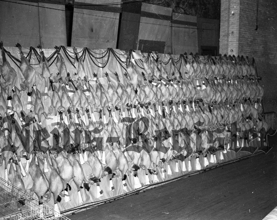 1940 Swift & Co turkey show exhibit-2