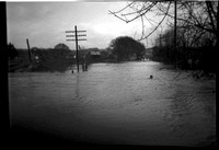 1949-2 Yamhill flood near sawmill.jpeg