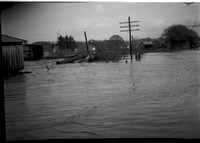 1949-2 Yamhill flood near sawmill 3.jpeg