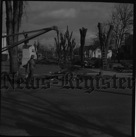 1953-2-19 Courthouse tree pruning 2.jpeg