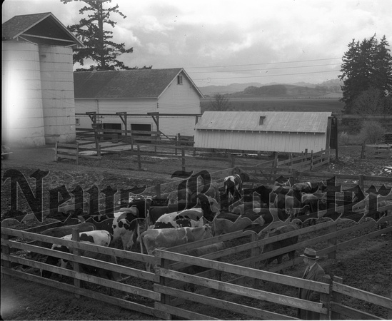 1950-1 Heifers for Relief 5.jpeg