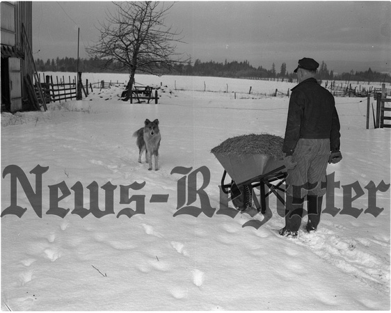 1950-1 Cruickshank, Ross Farm at Dayton.jpeg
