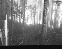1938-7-17_forest fire; High Heaven range-4