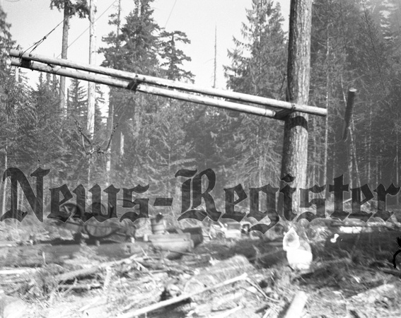 1936-Forest Fire; Fall-1
