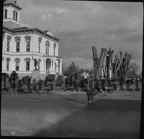 1953-2-19 Courthouse tree pruning 1.jpeg