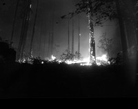 1938-7-17_forest fire; High Heaven range-2