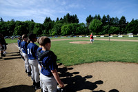 Youth Baseball Start