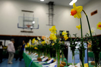 Amity Daffodil festival