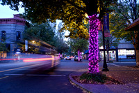 Pink Lights on Third Street