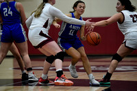 Dayton-Amity Girls' Basketball