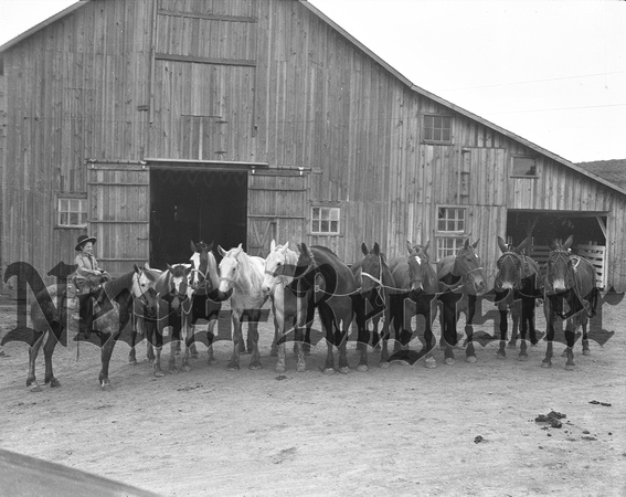 1940-4 Keuhne horse farm bar-k stock ranch-3