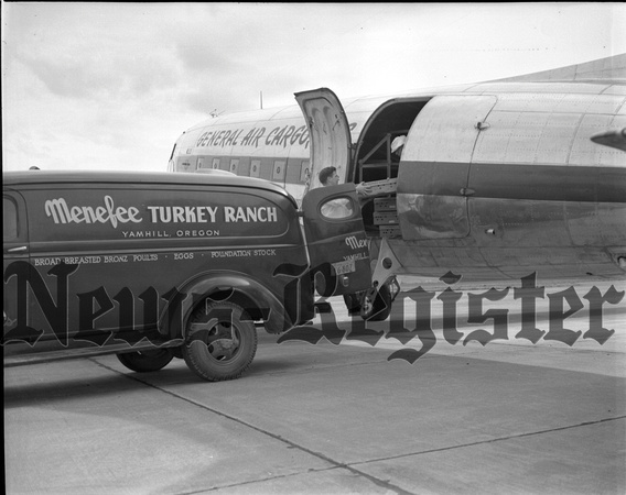 1948 Turkey Poults shipped via airplane.jpeg