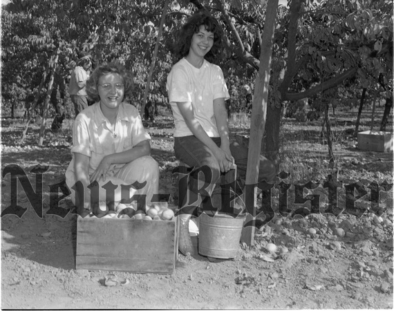 1949-9-15 Children's Farm Home peaches at Johnson Farm 1.jpeg