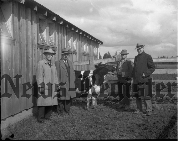 1950-1 Heifers for Relief.jpeg