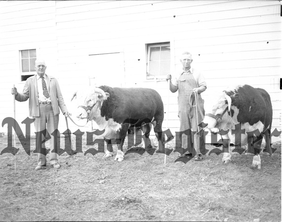1948 Ross, Homer County Commisoner.jpeg