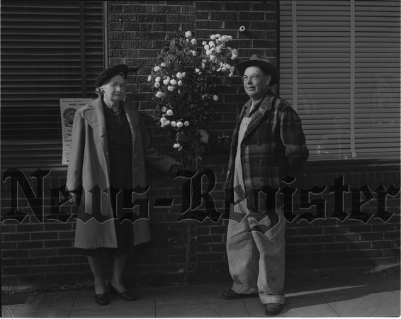 1949-12-1 Blanchard, Mr. and Mrs. G.L. and chrysanthemum shrub 1.jpeg