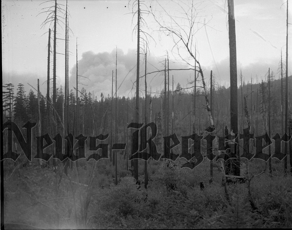 1949-9 County Forest Fires.jpeg