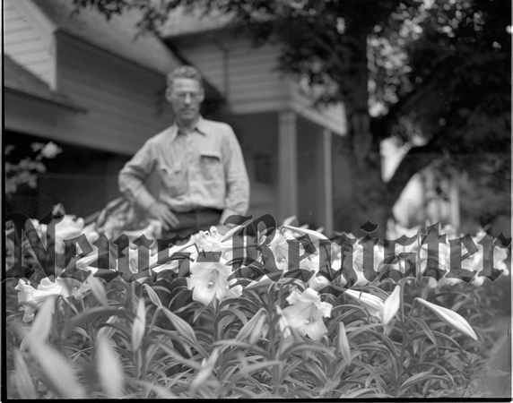 1946-7-25 Robert Travis and Easter Lilly Cultivation 3.jpeg