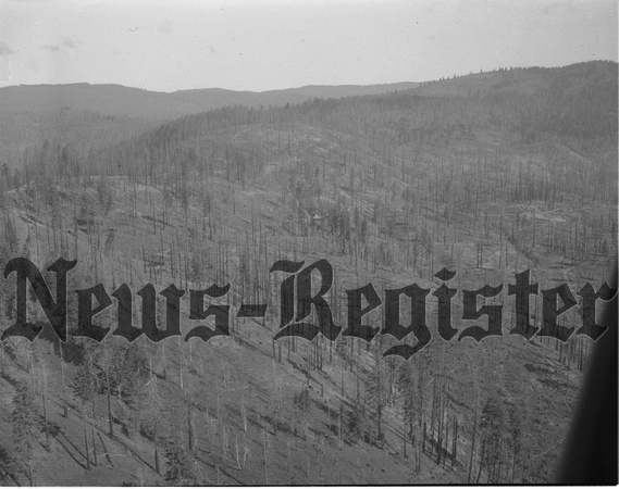 1950-7-20 Aerial view of cut over and burned timber 4.jpeg
