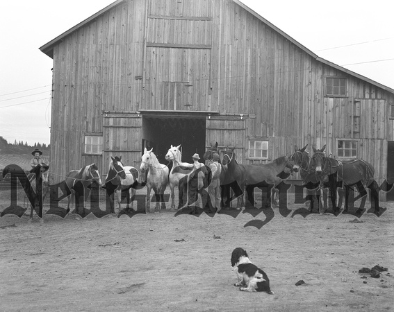 1940-4 Keuhne horse farm bar-k stock ranch-2