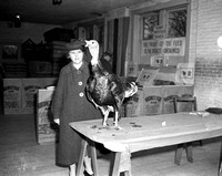 1940 Pacific Coast Turkey Show Scenes-1