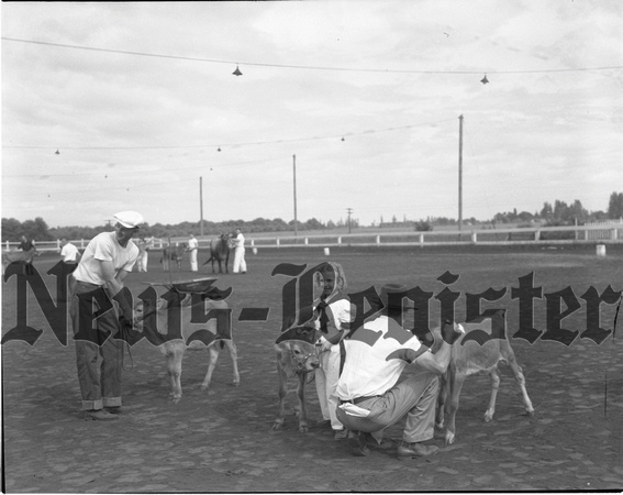 1946-6-6 Yamhill Co. Jersey Cattle club Spring Show winners 4.jpeg