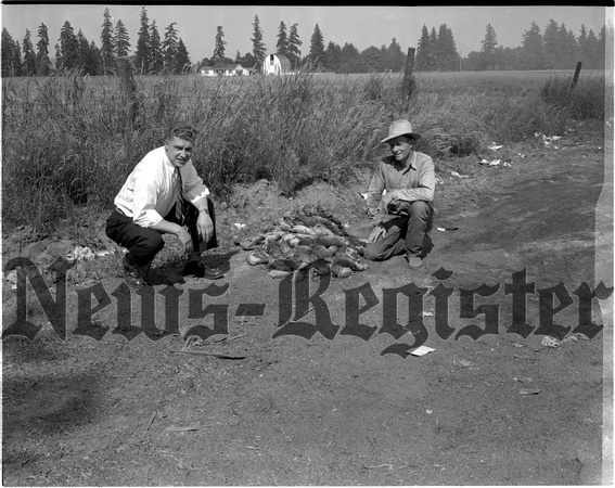 1948-3 Rodent Campaign at city Dump.jpeg