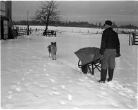 1950-1 Cruickshank, Ross Farm at Dayton.jpeg