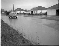 1949-2 Evans Street (High Water) 1.jpeg