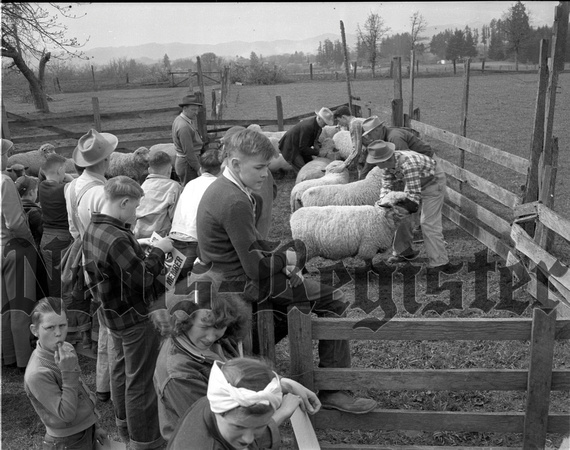 1948 4-H Livestock Tour 8.jpeg