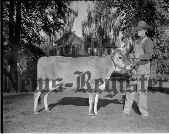1946-6-6 Yamhill Co. Jersey Cattle club Spring Show winners.jpeg