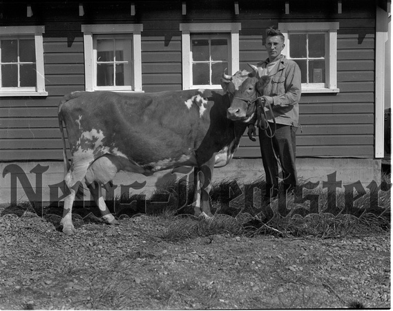 1946-3-28 Maynard, Eugene with prize guernsey.jpeg