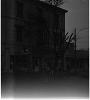 1950-2-23 Landmark tree on Evans chopped down.jpeg