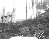1936-Forest Fire; Fall-4