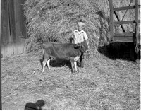 1948 4-H Livestock Tour 1.jpeg