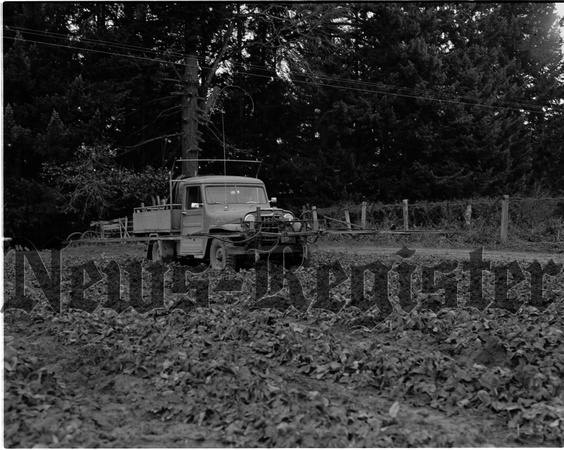 1953-1 Spraying Yamhill Strawberry field 2.jpeg