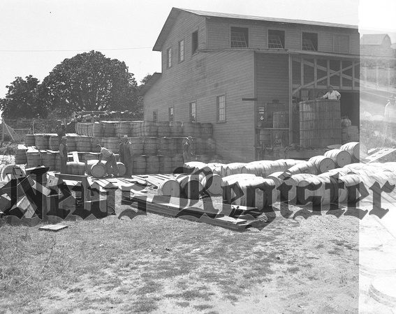 1937-7-22 Cherries barrelled at Wright Wanut Dryer-2