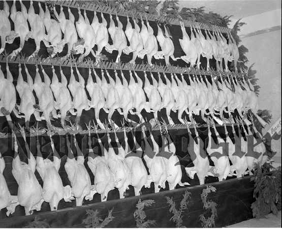 1948 Turkey Exhibit 9.jpeg