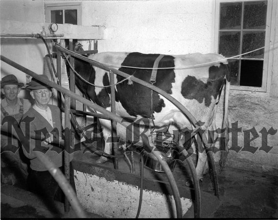 1948-1 Dairy Farm.jpeg