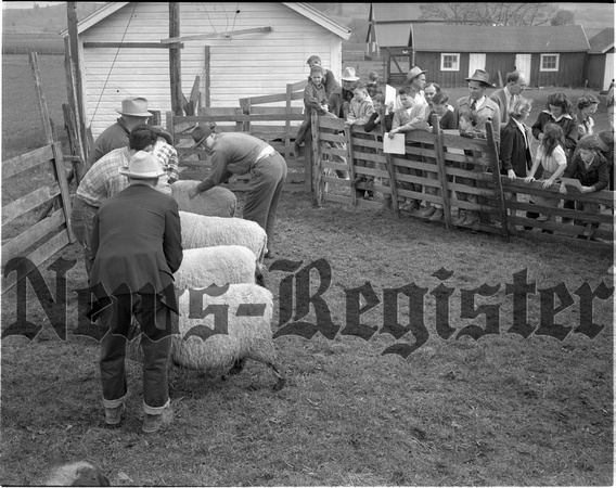 1948 4-H Livestock Tour 9.jpeg
