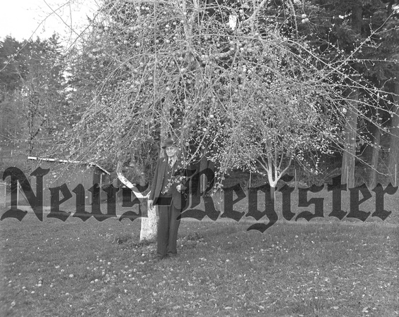 1940-3 Sheriff George W. Manning with apple tree-1