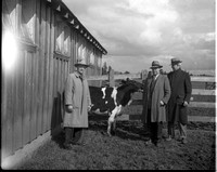 1950-1 Heifers for Relief 4.jpeg