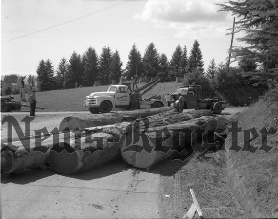 1950-7-27 Accident logs dumped at Carlton wye 1.jpeg