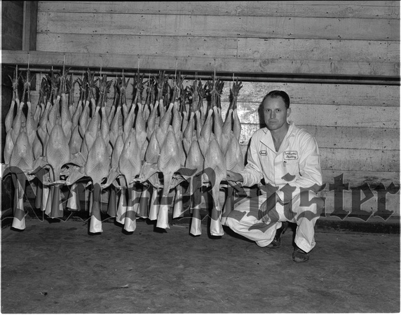 1949-8-4 Northwest Poultry Co.- First turkeys killed 1.jpeg