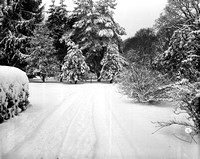 1943-01-28 first snow since 1937-4