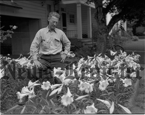 1946-7-25 Robert Travis and Easter Lilly Cultivation 2.jpeg
